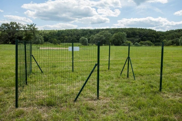 Сетка сварная рулонная Europlast Grand Line, 1,8х25 м, RAL 6005 (зеленый)